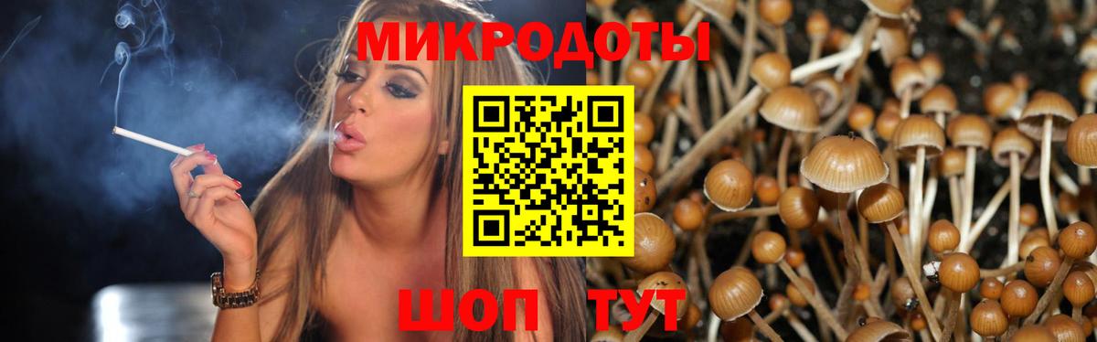 Галлюциногенные грибы GOLDEN TEACHER Крымск